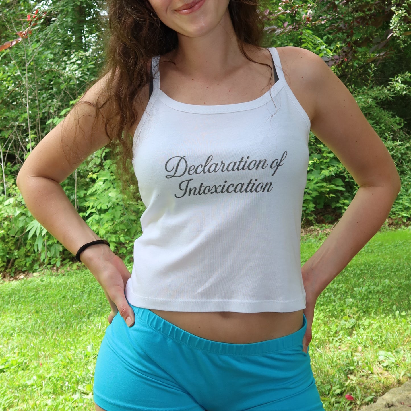 DECLARATION OF INTOXICATION TANK